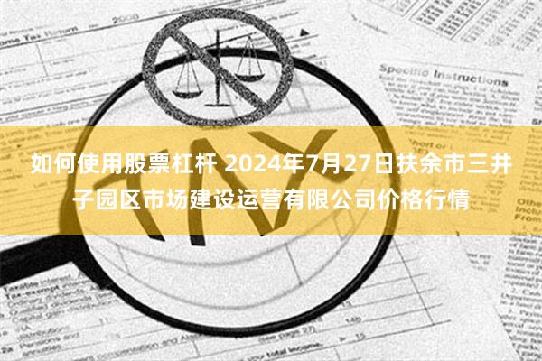 如何使用股票杠杆 2024年7月27日扶余市三井子园区市场建设运营有限公司价格行情