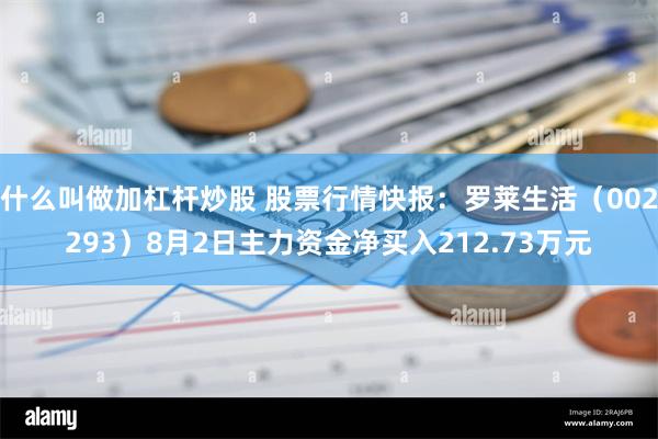 什么叫做加杠杆炒股 股票行情快报：罗莱生活（002293）8月2日主力资金净买入212.73万元