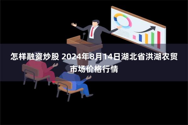 怎样融资炒股 2024年8月14日湖北省洪湖农贸市场价格行情