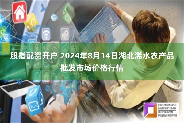 股指配资开户 2024年8月14日湖北浠水农产品批发市场价格行情