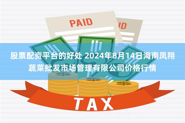 股票配资平台的好处 2024年8月14日海南凤翔蔬菜批发市场管理有限公司价格行情