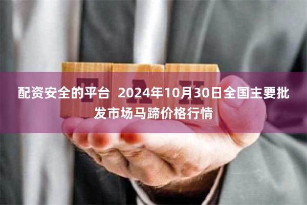 配资安全的平台  2024年10月30日全国主要批发市场马蹄价格行情