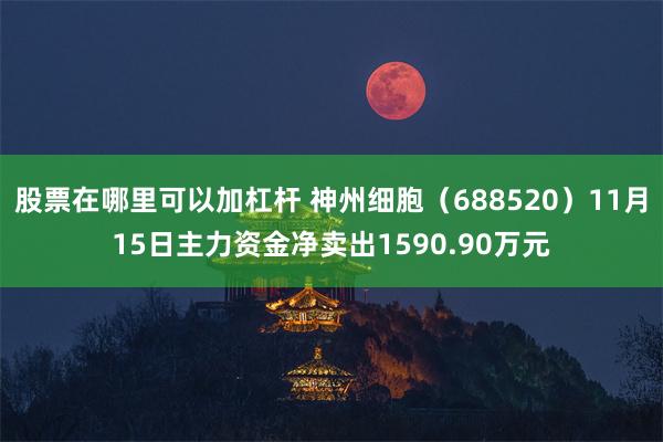 股票在哪里可以加杠杆 神州细胞（688520）11月15日主力资金净卖出1590.90万元