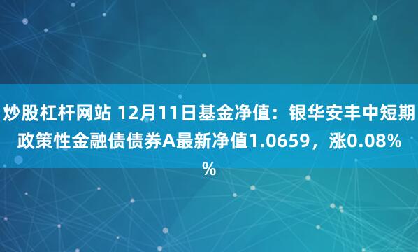 炒股杠杆网站 12月11日基金净值：银华安丰中短期政策性金融债债券A最新净值1.0659，涨0.08%