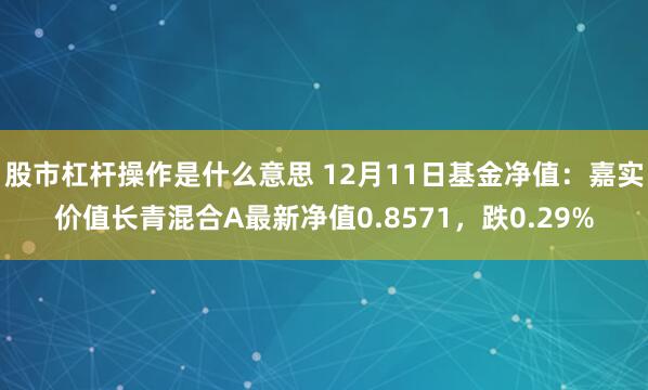 股市杠杆操作是什么意思 12月11日基金净值：嘉实价值长青混合A最新净值0.8571，跌0.29%