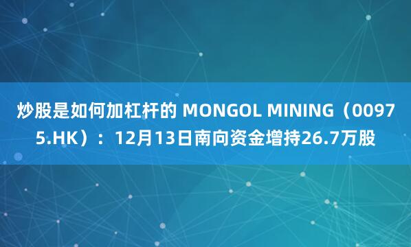 炒股是如何加杠杆的 MONGOL MINING（00975.HK）：12月13日南向资金增持26.7万股