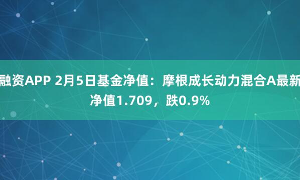 融资APP 2月5日基金净值：摩根成长动力混合A最新净值1.709，跌0.9%