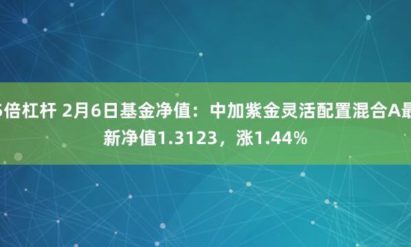 5倍杠杆 2月6日基金净值：中加紫金灵活配置混合A最新净值1.3123，涨1.44%