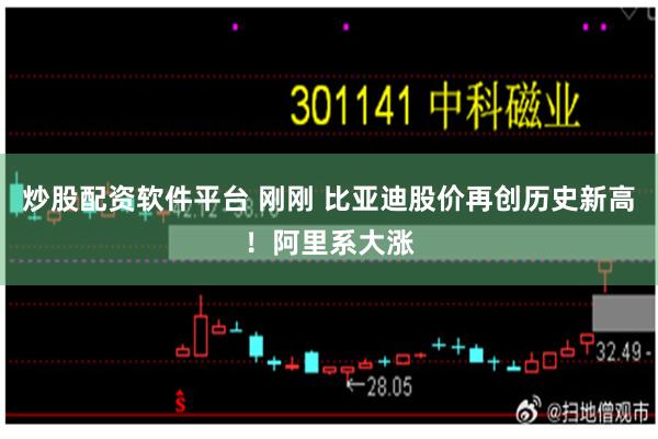 炒股配资软件平台 刚刚 比亚迪股价再创历史新高！阿里系大涨