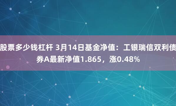 股票多少钱杠杆 3月14日基金净值：工银瑞信双利债券A最新净值1.865，涨0.48%