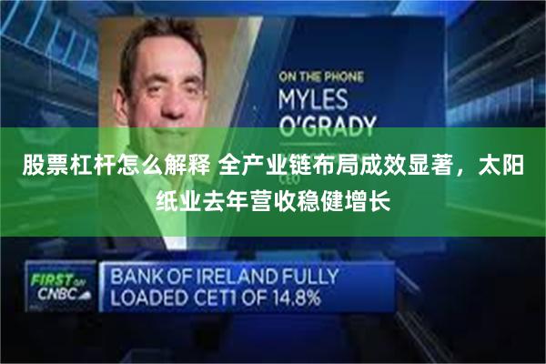 股票杠杆怎么解释 全产业链布局成效显著，太阳纸业去年营收稳健增长